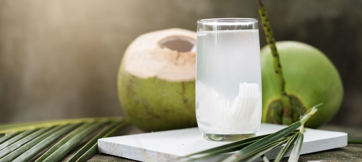 coconut milk logo